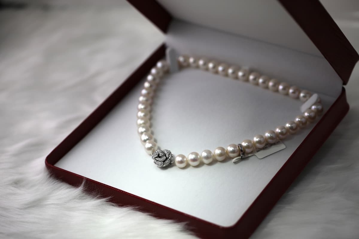 Accessories category editorial photography